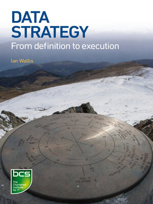 cover image of Data Strategy